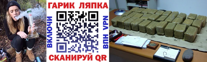 Купить закладки  Шагонар  ГАШИШ VHQ 