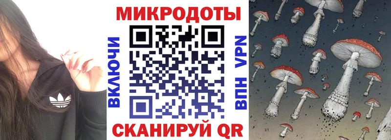 Псилоцибиновые грибы Psilocybe  Купить  Шагонар 