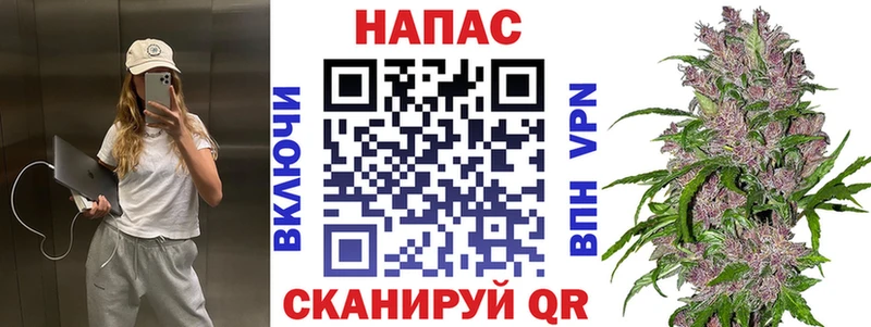 Шишки марихуана THC 21%  Купить где  Шагонар 